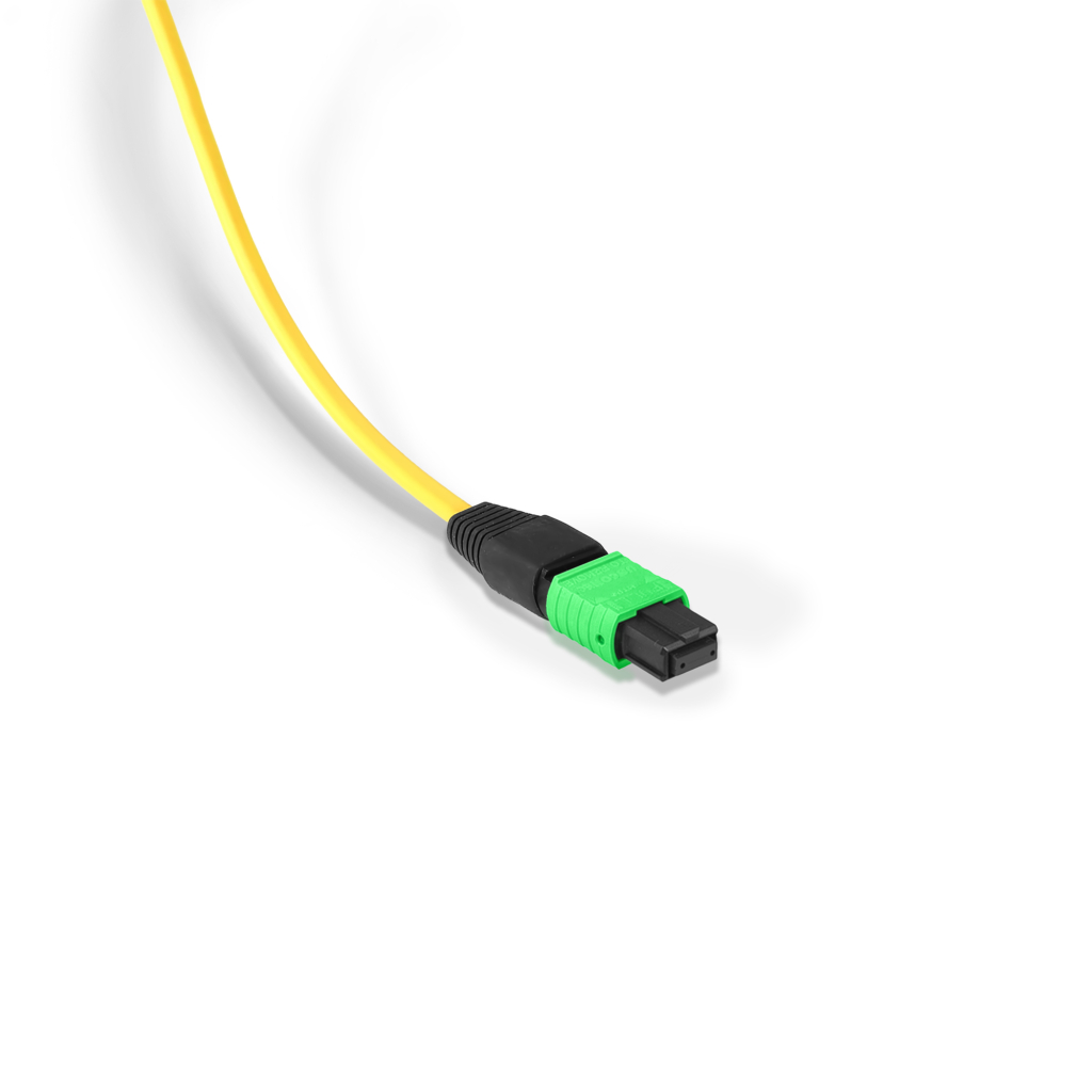 MTP Female, Singlemode, Breakout - Uncapped